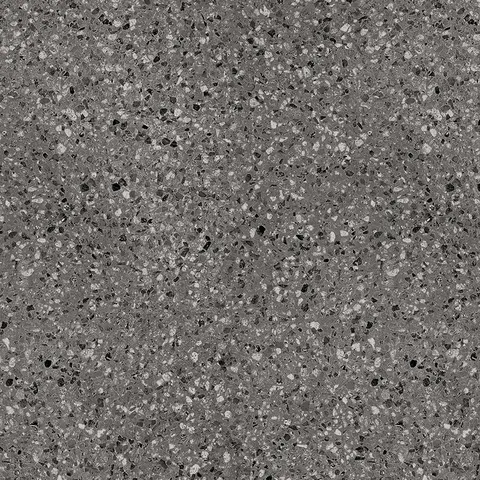 POLY MOCHA view 4